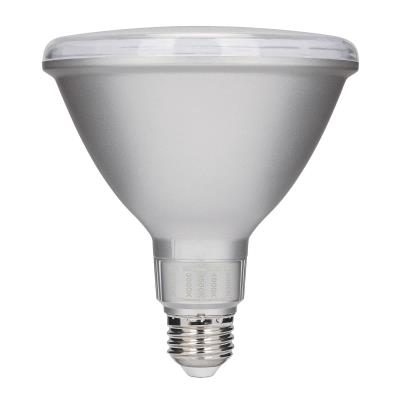 Westinghouse Lighting 5353000 PAR38 LED light bulb