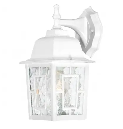 Nuvo 60-4921 12" Banyon Outside Wall Light, Clear Water Glass, White
