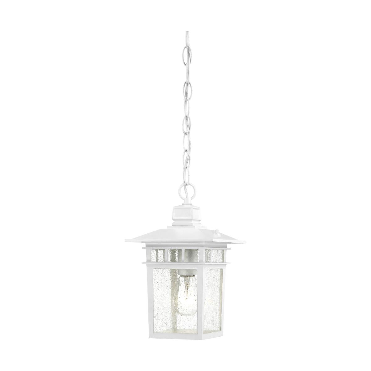 Nuvo 60-4954 Cove Neck 1-Light 12" Hanging Lantern, 100W Max, 120V, Clear Seeded Glass, White Finish