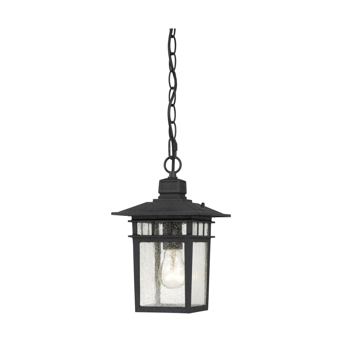 Nuvo 60-4956 Cove Neck 1-Light 12" Hanging Lantern, 100W Max, 120V, Clear Seeded Glass, Textured Black Finish