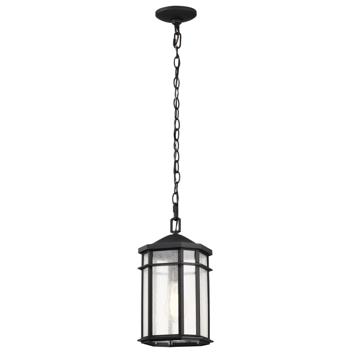 Nuvo 60-5759 Raiden Collection Outdoor 14.5" Hanging Light, Matte Black Finish, Clear Seeded Glass, 100W, 120V