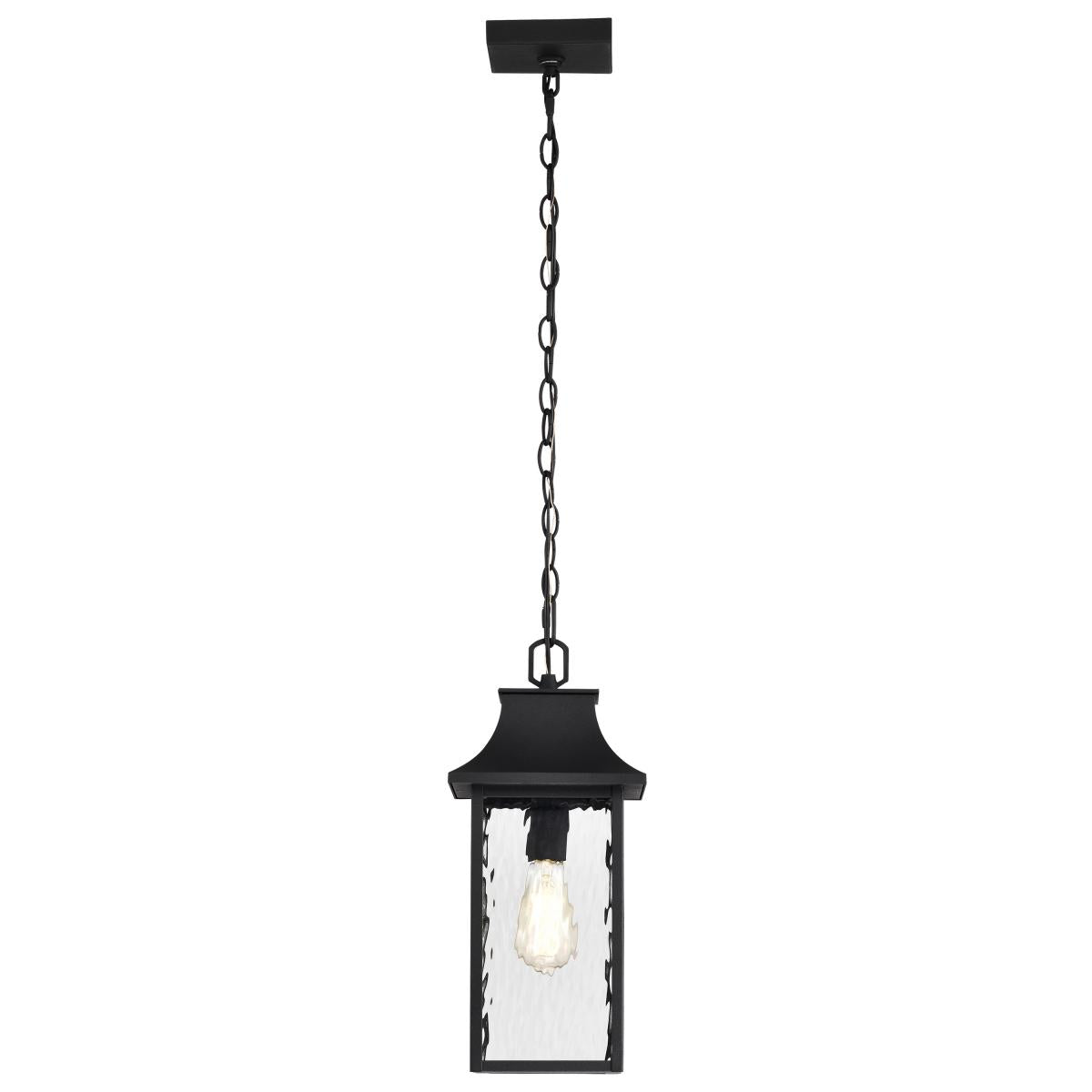 Nuvo 60-5996 Austen Collection Outdoor 17 Inch Hanging Lantern with Clear Water Glass, Matte Black Finish, 100W, 120V