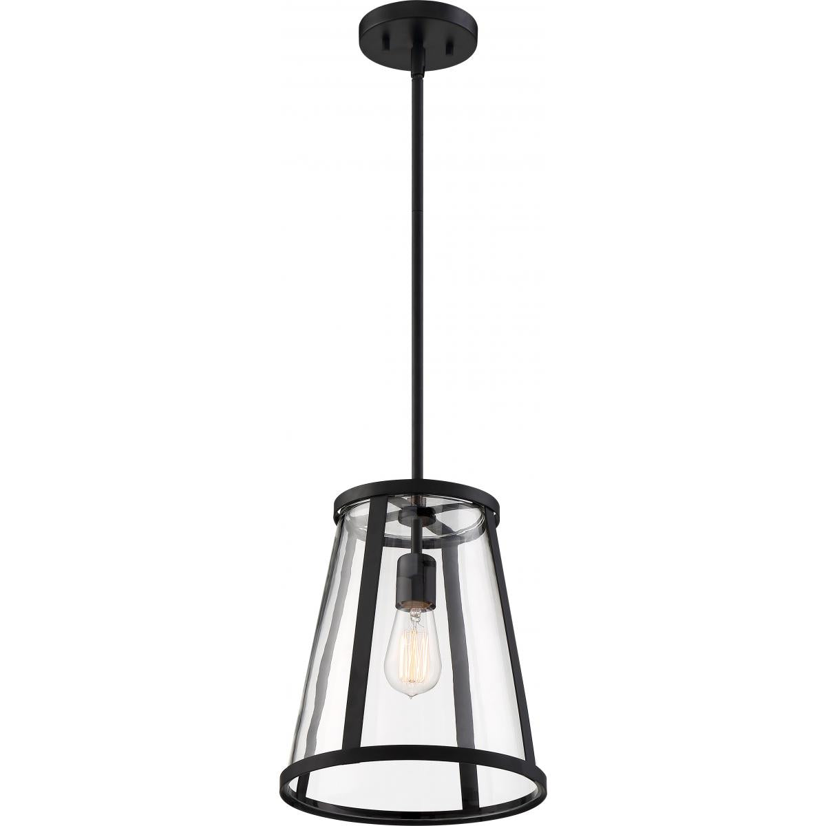 Nuvo 60-6699 Bruge 1 Light Pendant – Clear Glass, Matte Black Finish, 100W Max, 120V