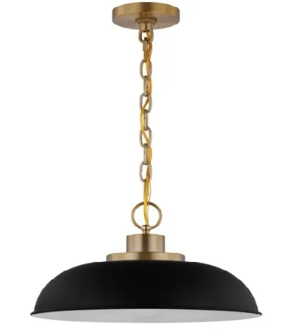 Nuvo 60-7481 Colony Pendant, 1 Light, Wattage 100W, Voltage 120V, Black/Burnished Brass, Small