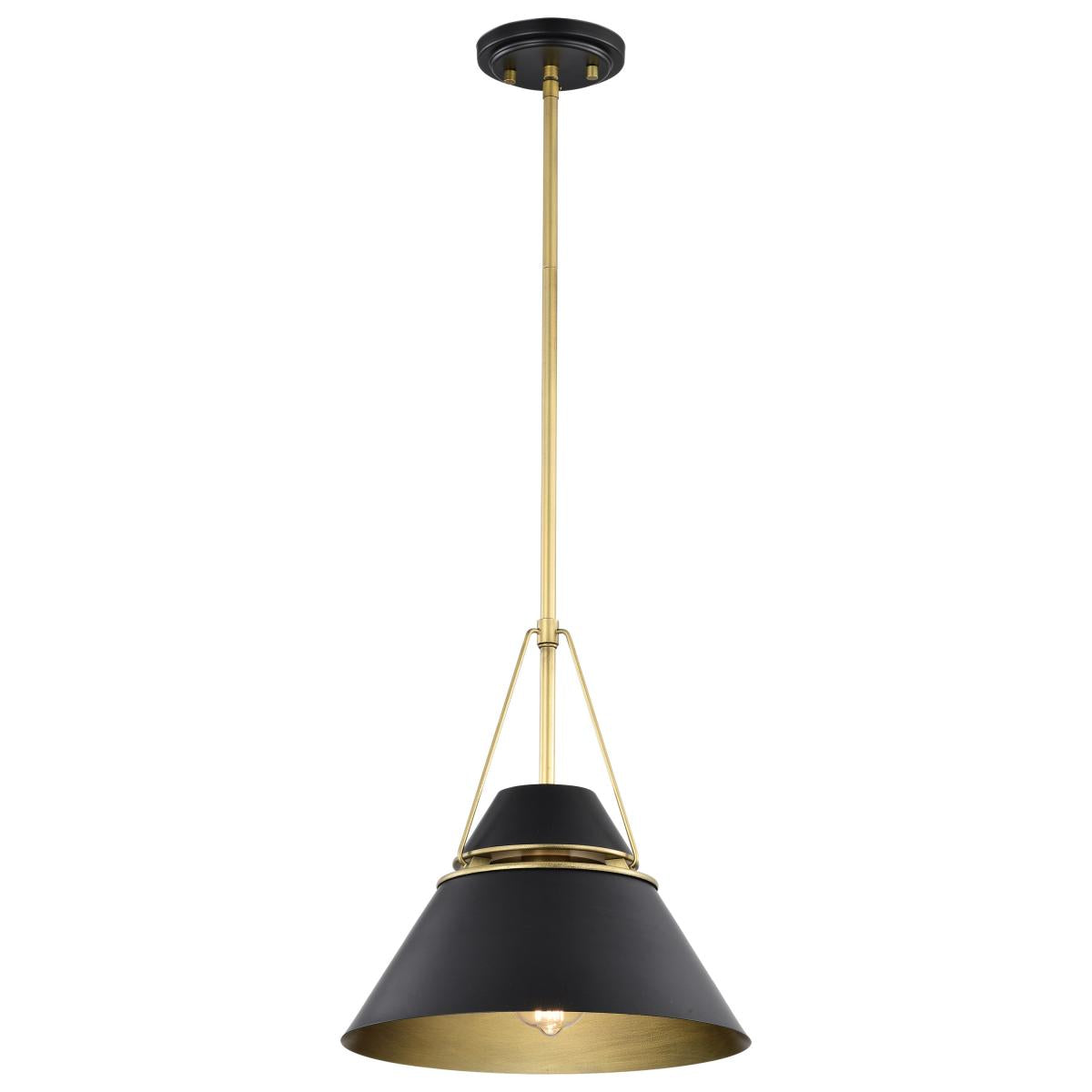 Nuvo 60-7766 Adina 1 Light Medium Pendant – Matte Black and Natural Brass Finish, 60W Max, 120V, cULus Listed