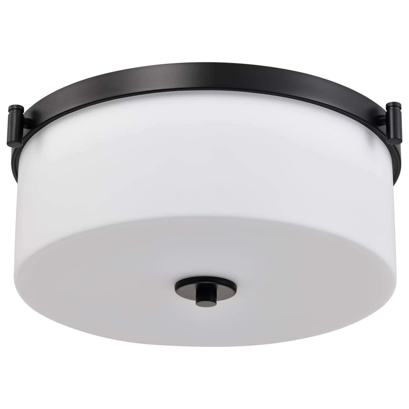 Nuvo 60-8217 Liam 16.63 inch Flush Mount Ceiling Light - Finish: Matte Black