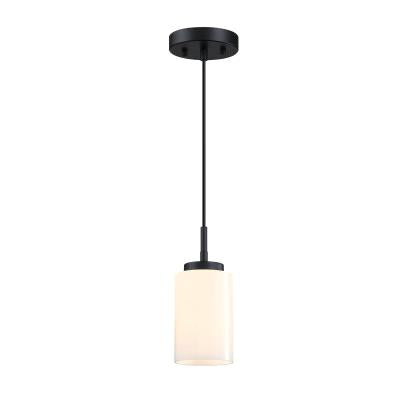 Westinghouse Lighting 6135400 Shamus 1 Light Black Mini Pendant Ceiling Light