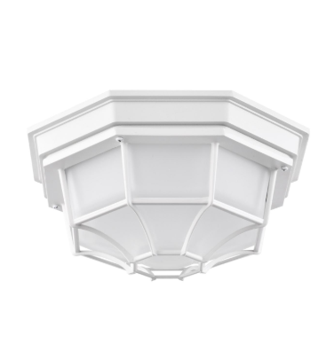 Nuvo 62-1399 LED Spider Cage Fixture; White Finish with Frosted Glass