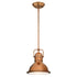 Westinghouse Lighting 63084A Boswell 1 Light 9 inch Washed Copper Pendant Ceiling Light