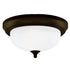 Westinghouse Lighting 6429100 2 light oil rubbed bronze flush mount ceiling light