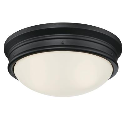 Westinghouse Lighting 6578100 Meadowbrook matte black outdoor flush mount ceiling light