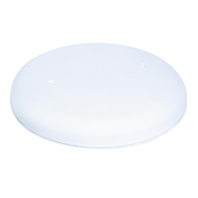 Westinghouse Lighting 7005800 white blank up kit canopy