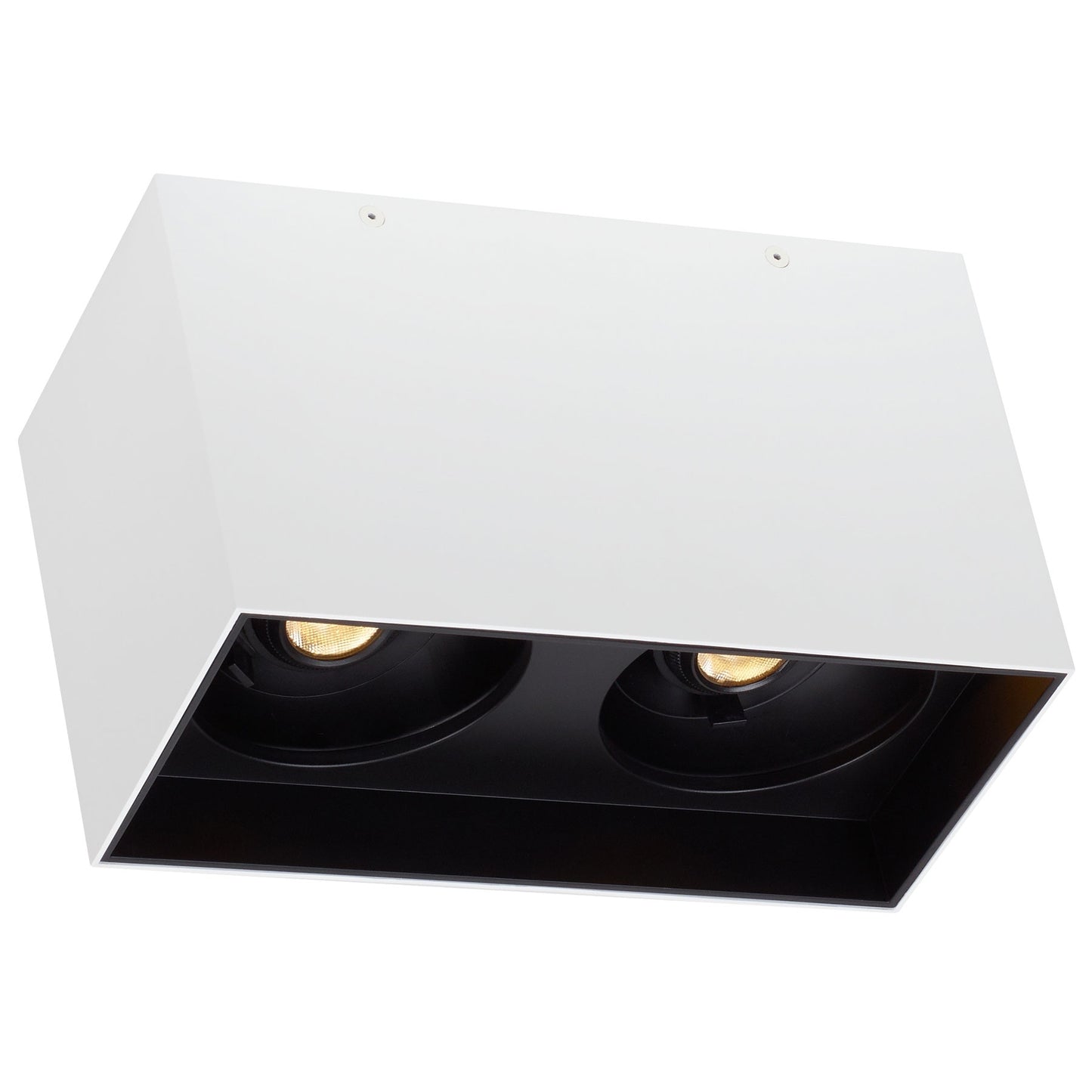 Visual Comfort Architectural 700FMEXOD620WB-LED930 Exo Dual Ceiling Light, Color Temperature 3000K, Beam Angle 20°, Matte White / Black Finish