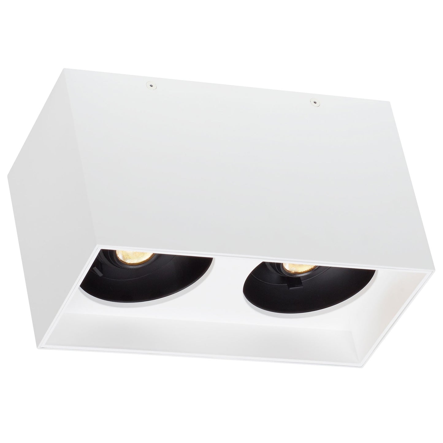 Visual Comfort Architectural 700FMEXOD620WW-LED930 Exo Dual Ceiling Light, Color Temperature 3000K, Beam Angle 20°, Matte White / White Finish