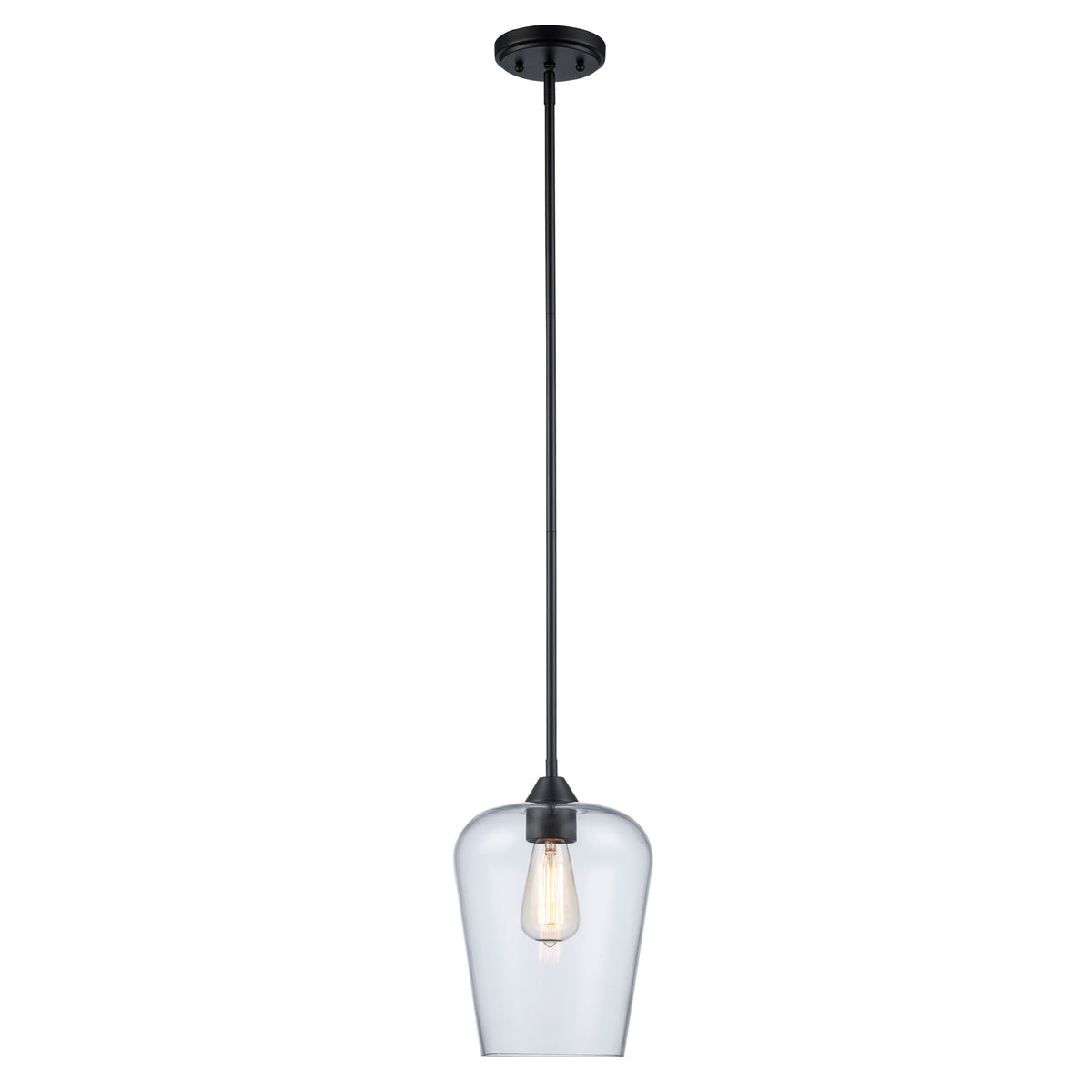 Trans Globe Lighting 71830 pendant in black with clear tulip glass