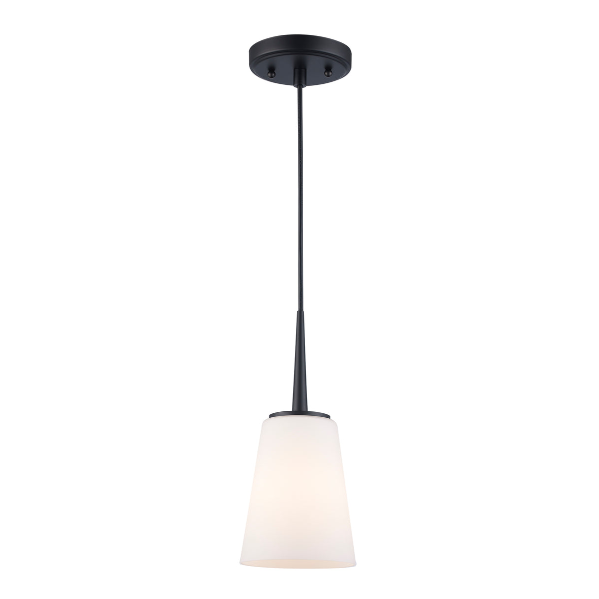 Trans Globe Lighting 71890 BK black mini pendant ceiling light