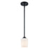 Trans Globe Lighting 71910 BK Liora 1 light black mini pendant ceiling light
