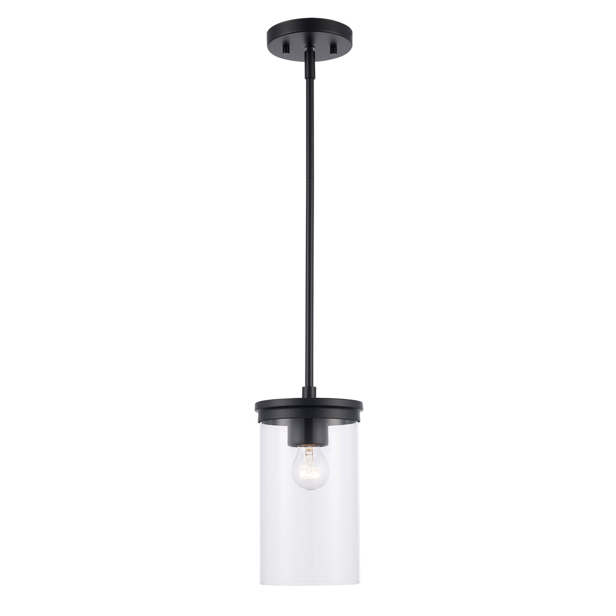 Trans Globe Lighting 72040 BK Carter 1 Light Black mini pendant with clear glass