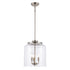 Trans Globe Lighting Zoe 3 light brushed nickel pendant with clear glass