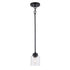 Trans Globe Lighting 72050 BK Zoe black mini pendant ceiling light with clear glass
