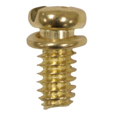 Westinghouse Lighting 7704700 10 Piece Brass Motor Screw Kit