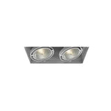 Eurofase Lighting TE222-02 LED Recessed Light without Trim, 2-Light, PAR30, Wattage 150W, Voltage 120V, White