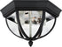 Generation Lighting 78136-12 Wynfield 2 light Brentwood flush mount ceiling light