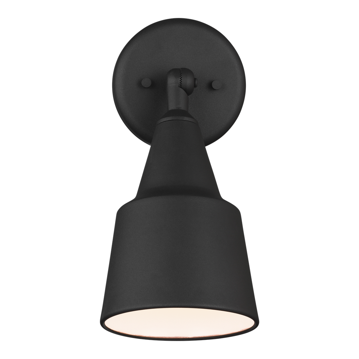 Generation Lighting 8560701-12 Black Flood Light