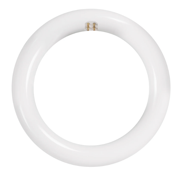 Feit Electric FC8/865/LED 18 in. (22W Replacement) Daylight Deluxe White G10Q (T9 Replacement) Non-Dimmable Circline LED Light Tube, Color Temperature 6500K, Wattage 15W, Voltage 120V