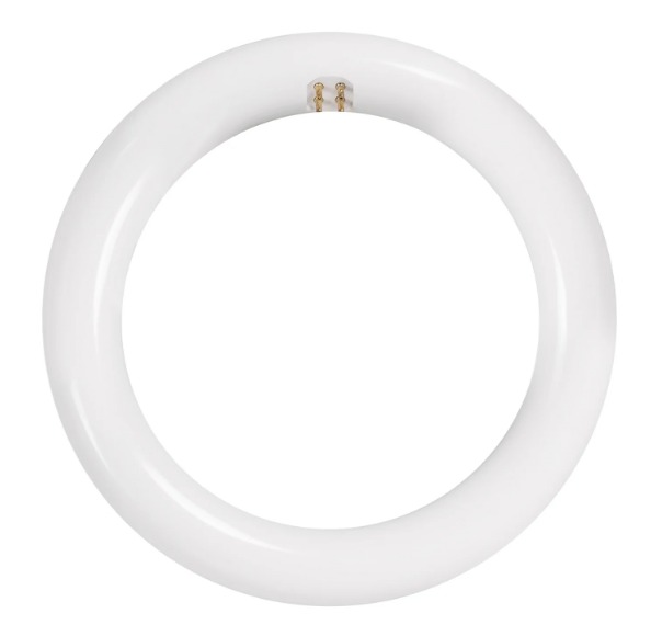 Feit Electric FC8/865/LED/12 18 in. (22W Replacement) Daylight Deluxe White G10Q (T9 Replacement) Non-Dimmable Circline LED Light Tube, Color Temperature 6500K, Wattage 15W, Voltage 120V - 12 Pack