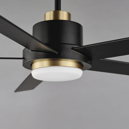 Maxim Lighting 88826BKGLD Daisy Ceiling Fan - Close-Up of Motor Housing and LED Light Kit