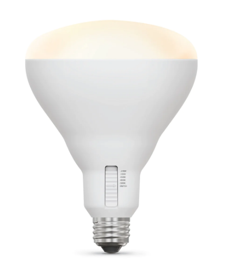 Feit br40 led deals bulb