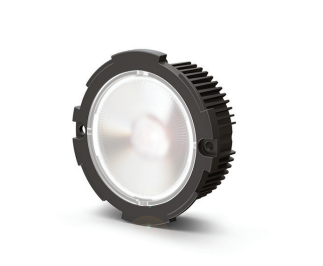 DMF Lighting DRD2M12927NST Recessed Narrow Spot Fixed LED Downlight Module, Lumens 1250 lm, Color Temperature 2700K, 93+ CRI, Triac/ELV