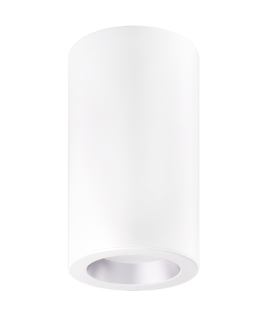 Elco Lighting ESF427110CT5HW 4″ Ply Sylo™ Surface Mount, Color Temperature 2700K-5000K, Lumens 1000 lm, Haze with White RIng