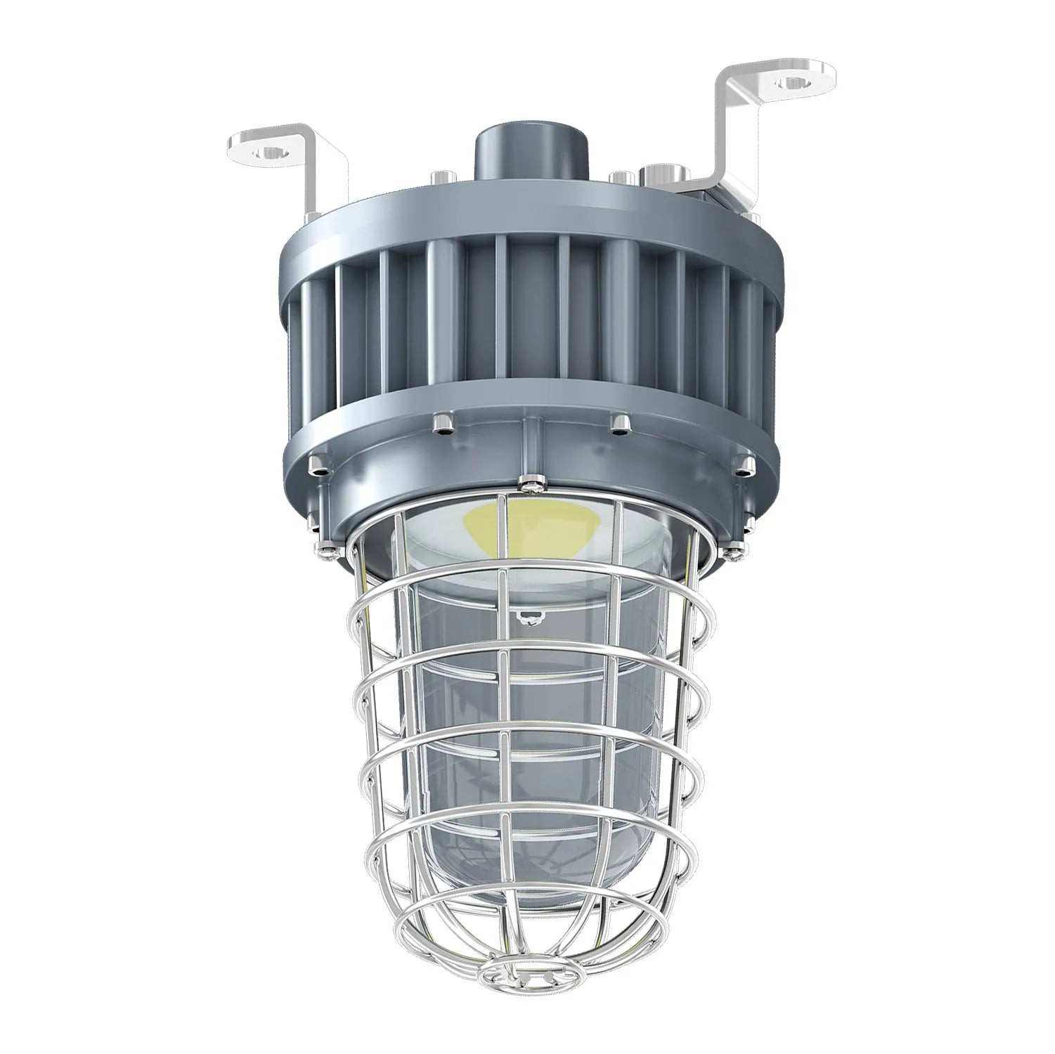 ESL Vision ESL-HZJJ-50W-150K LED Hazardous Class l Division l Jelly Jar light - 50W - 120–277V - Color Temperature: 5000K