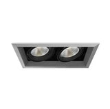 Eurofase TE132LED-35-2-0N 52W 2-Light Recessed Light With Trim - 20° - 120V - 3500K - Platinum/Black