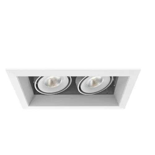 Eurofase TE162LED-30-2-22 10-in 30W Multiple Recess Downlight With Trim - 2 Lights - 20° - 3000K - 120V - White/White
