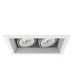 Eurofase TE162LED-30-2-22 10-in 30W Multiple Recess Downlight With Trim - 2 Lights - 20° - 3000K - 120V - White/White