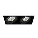 Eurofase TE222LED-35-2-01 12-in 52W Multiple Recess Downlight Without Trim - 2 Lights - 20° - 3500K - 120V - Black/Black