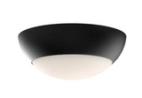 Alora Lighting FM522211MBOP 12" Rubio 2 Light Wide Flush Mount Bowl Ceiling Fixture with Opal Glass Shade