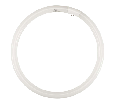 Keystone KTL-FC16T9-CW-DP FC16T9, 4100K, 60 CRI, Circline Lamps, T9 Circular Fluorescent Lamps