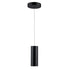 Trans Globe Lighting LED-16331 BK Rowland black LED pendant ceiling light