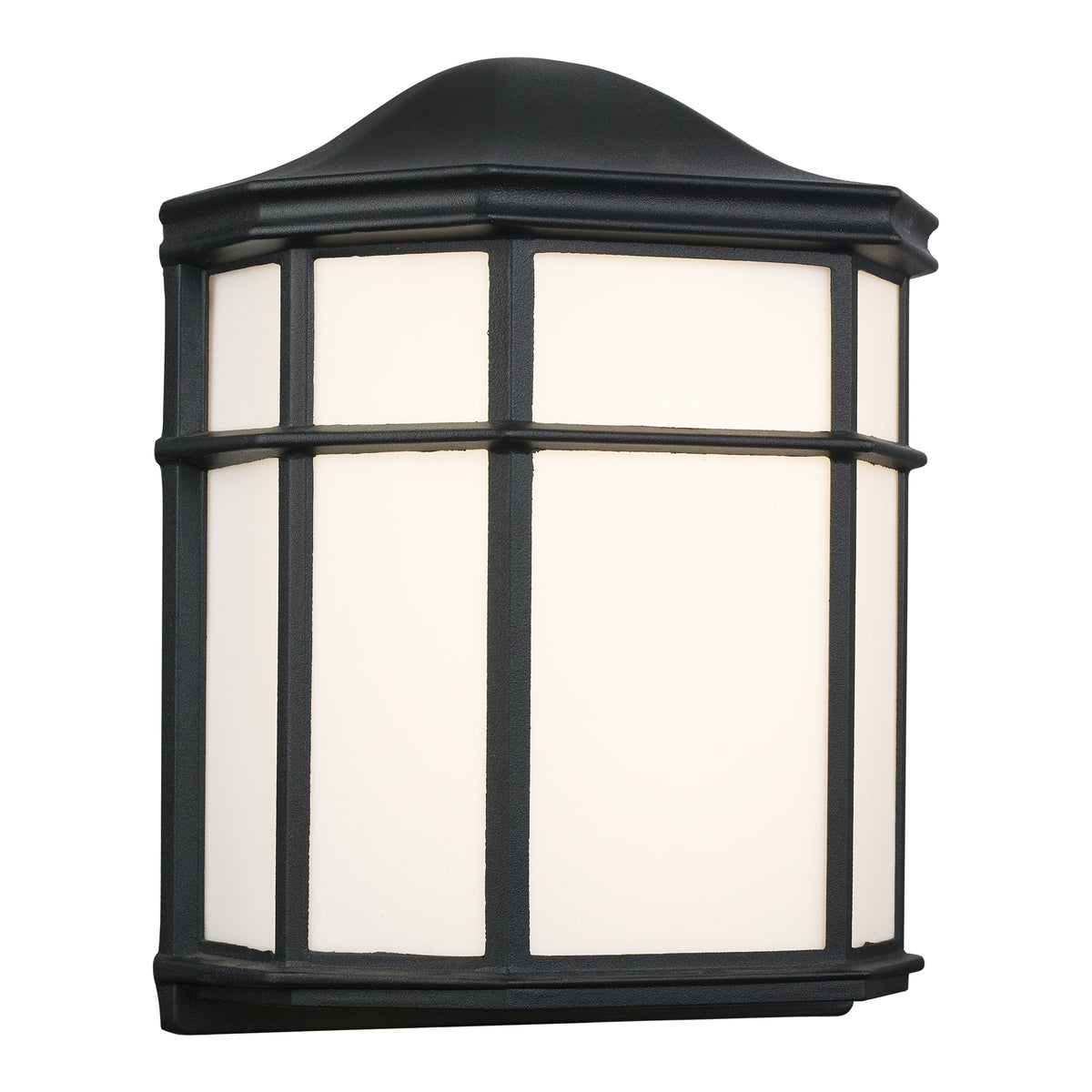 Trans Globe Lighting LED-4484 BK Andrews black outdoor wall light