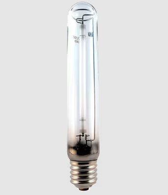 Eiko LU600 600W HPS T-14.5 Mogul Base High Output