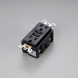 Buster + Punch NSM-023240 Duplex Outlet GFCI Module