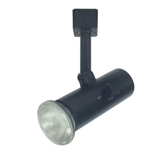 Nora Lighting NTH-139B PAR20-PAR38 Flatback Universal Lamp Holder, Black Finish