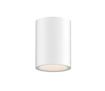 Dals Lighting PIL08-CC-UNV-WH 8 Inch Cylinder Flushmount, Universal Driver, 5CCT - White Finish