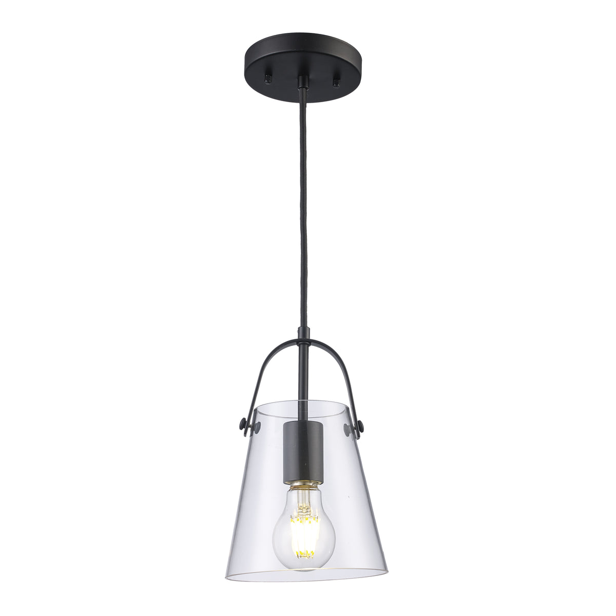 Trans Globe Lighting PND-2174 BK Curry 1 Light Black Pendant Ceiling Light