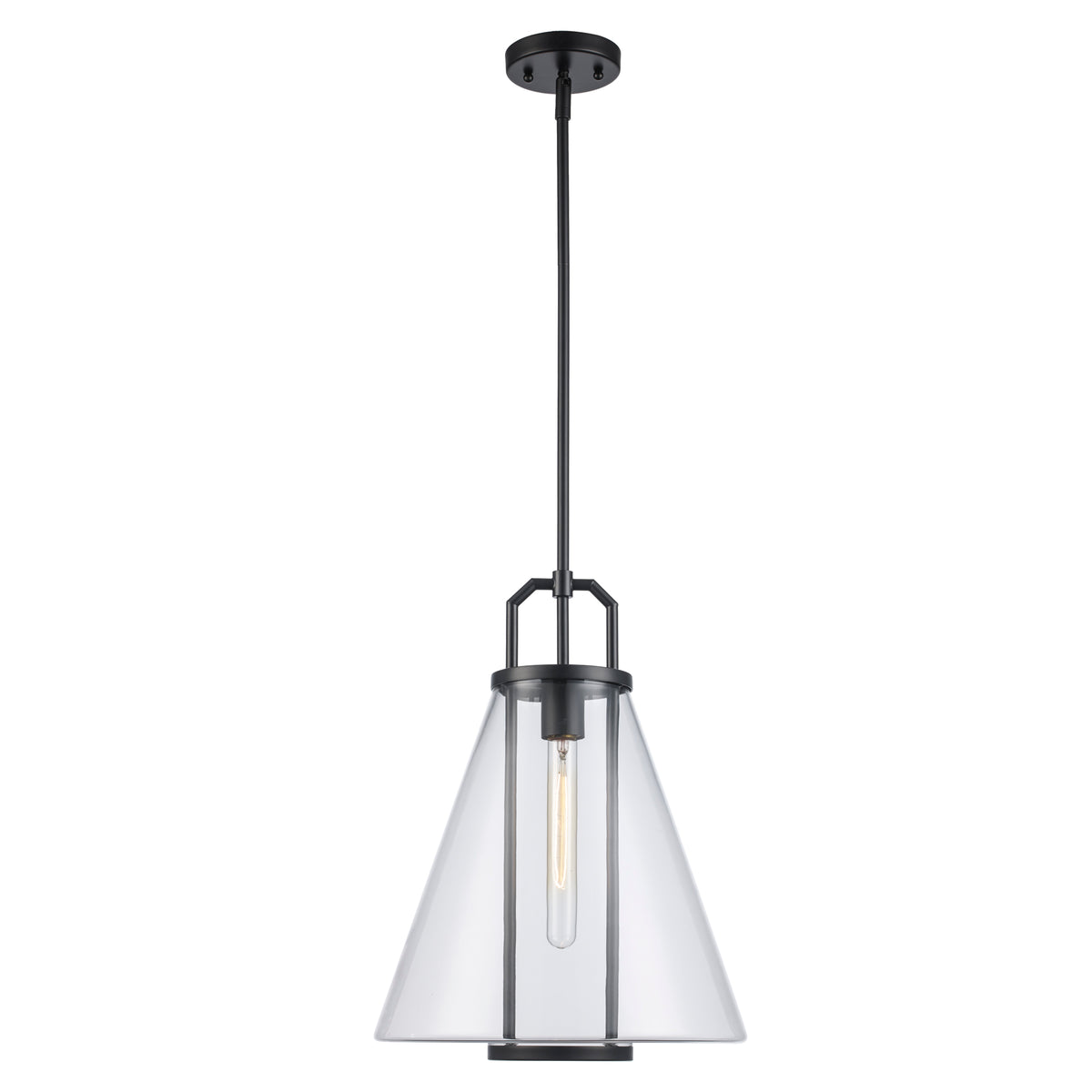 Trans Globe Lighting PND-2233 BK Rhapsody black pendant ceiling light