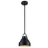 Trans Globe Lighting PND-2241 BK Lowen black pendant ceiling light